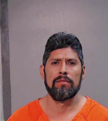 Hernandez Salomon - Hidalgo County, TX 