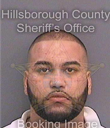 Tejera Luciano - Hillsborough County, FL 