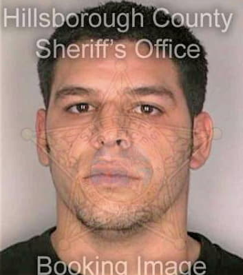 Mendoza David - Hillsborough County, FL 