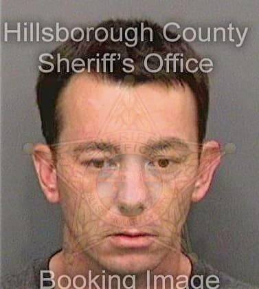 Mcgall Henry - Hillsborough County, FL 