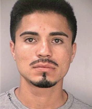 Pena Miguel - Hillsborough County, FL 