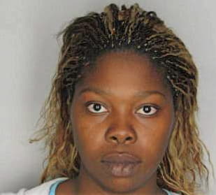 Mcphee Cur - Hillsborough County, FL 