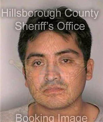 Garcia Francisco - Hillsborough County, FL 