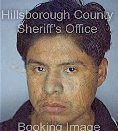 Hernandez Enrique - Hillsborough County, FL 