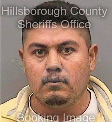 Martinezcampos Felix - Hillsborough County, FL 