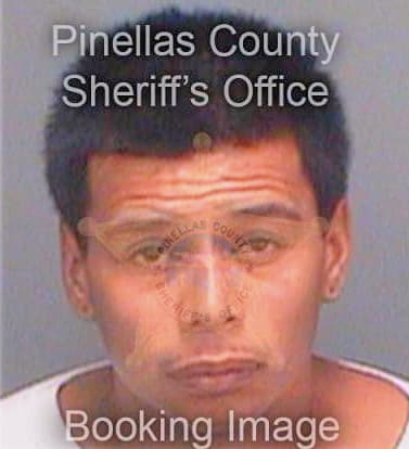 Vela Albert - Pinellas County, FL 