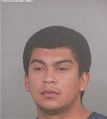 Sanchez Jhony - Broward County, FL 