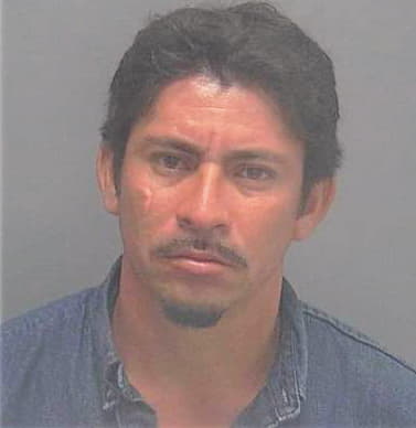 Hernandez Maximino - Lee County, FL 