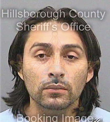 Gallardogarcia Ricardo - Hillsborough County, FL 