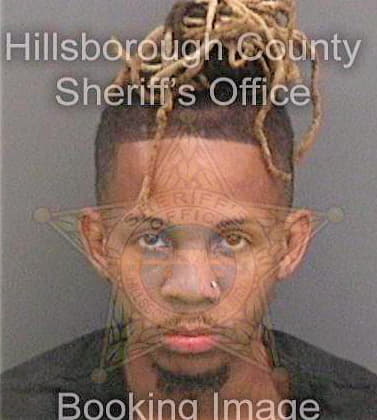 Swann Travis - Hillsborough County, FL 