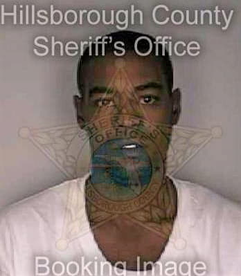 Simpson Michael - Hillsborough County, FL 