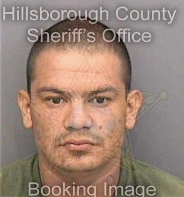 Meza Alejandro - Hillsborough County, FL 