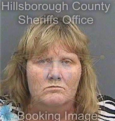 Nicholson Deborah - Hillsborough County, FL 