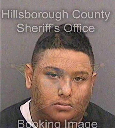 Medina David - Hillsborough County, FL 