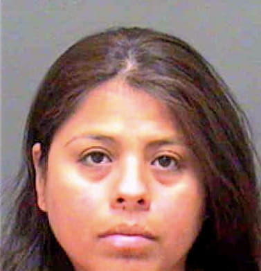 Venegas Josefina - Mecklenburg County, NC 