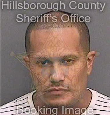 Perez Carlos - Hillsborough County, FL 