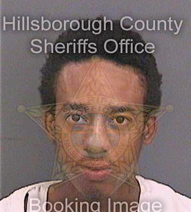 Bethune Anthony - Hillsborough County, FL 