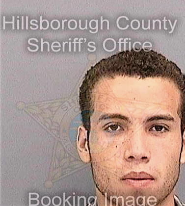 Vicenterivera Joshua - Hillsborough County, FL 