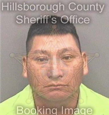 Diaz Roger - Hillsborough County, FL 