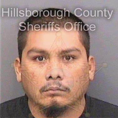 Garcia Pedro - Hillsborough County, FL 