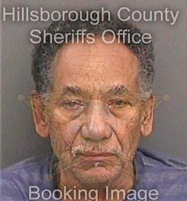 Chirenogarcia Antonio - Hillsborough County, FL 