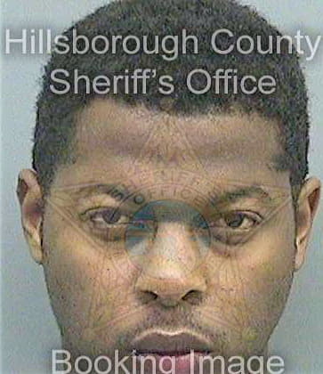 Johnson Demetrius - Hillsborough County, FL 