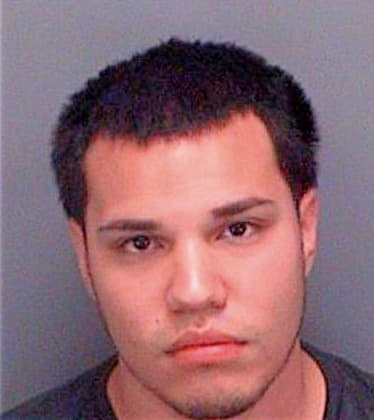 Garzon Sergio - Pinellas County, FL 