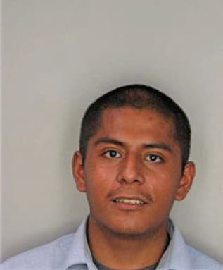 Franco Delfino - Hillsborough County, FL 