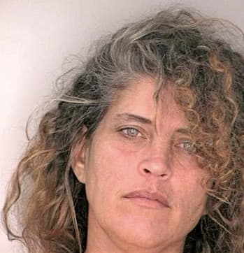 Bowman Marie - Hillsborough County, FL 