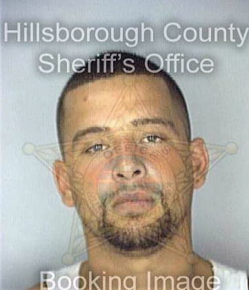 Diaz Roberto - Hillsborough County, FL 