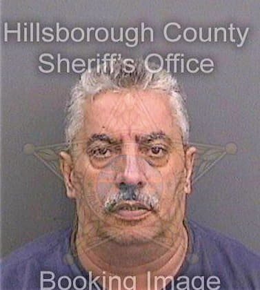 Srour Ibrahim - Hillsborough County, FL 