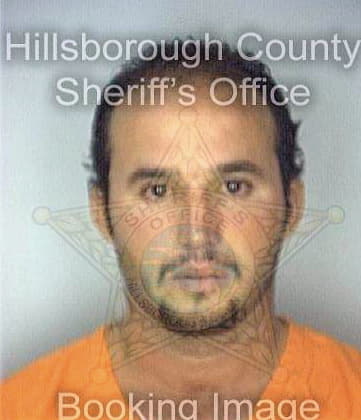 Deleon Jose - Hillsborough County, FL 