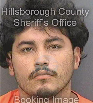 Medina Jesus - Hillsborough County, FL 