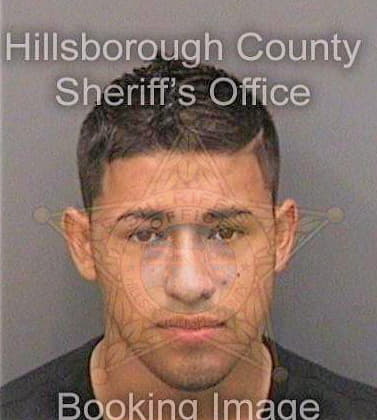 Velezmonsalve Bryan - Hillsborough County, FL 