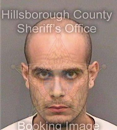 Orsini Anthony - Hillsborough County, FL 