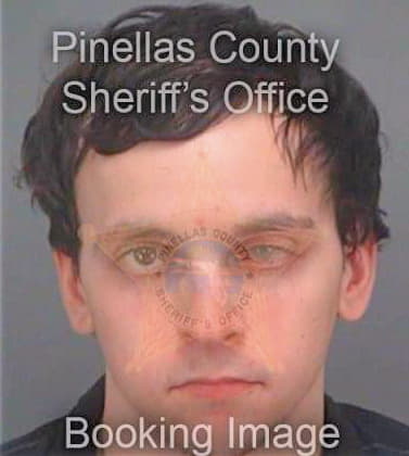 Shannon Brent - Pinellas County, FL 