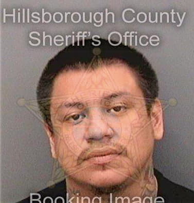 Osceola Brian - Hillsborough County, FL 