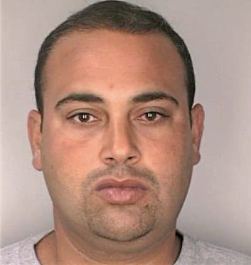 Mirabal Yosvani - Hillsborough County, FL 