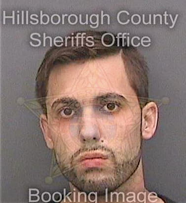 Perez Brandon - Hillsborough County, FL 