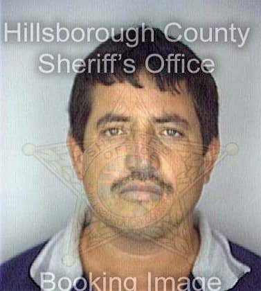 Velasquez Julio - Hillsborough County, FL 