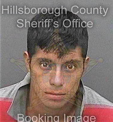 Velazquez Uriel - Hillsborough County, FL 