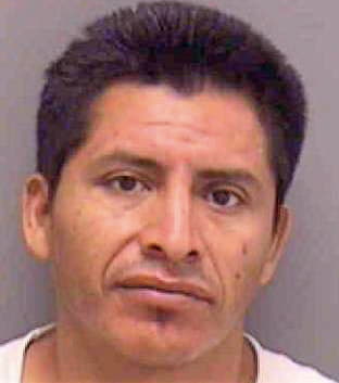Silvestre Manuel - Lee County, FL 