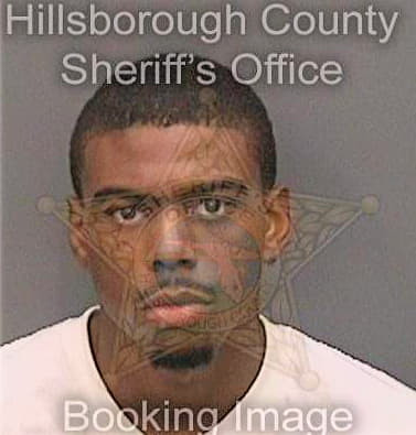 Lewis Maurice - Hillsborough County, FL 