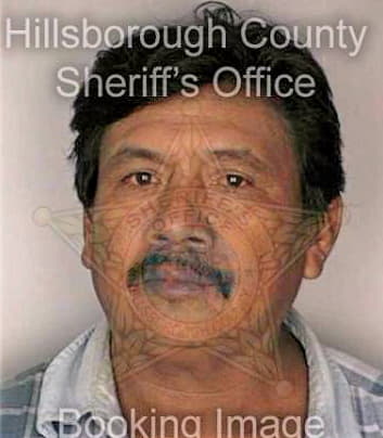 Mendoza Pedro - Hillsborough County, FL 