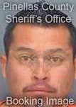 Patricio-Soto Rene - Pinellas County, FL 