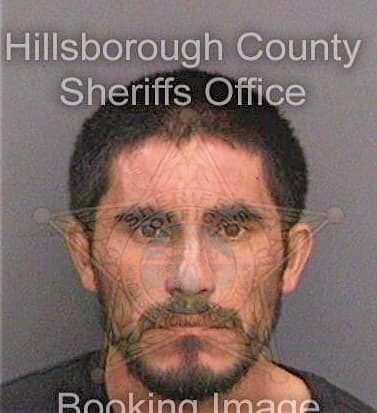 Jimenezaguillon Ricardo - Hillsborough County, FL 