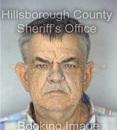 Mcpherson Charles - Hillsborough County, FL 