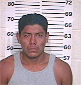 Hernandez Raul - Hidalgo County, TX 