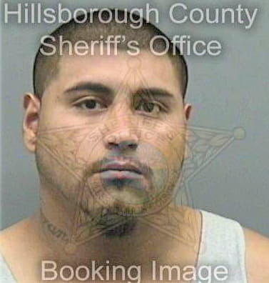 Duran Felimon - Hillsborough County, FL 