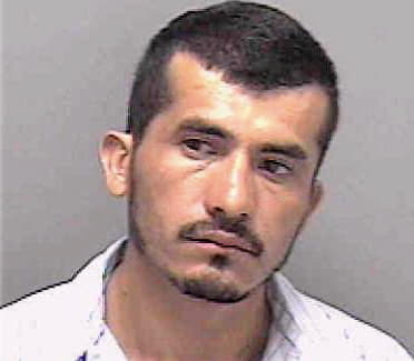 Ledesma Juvenal - Lee County, FL 